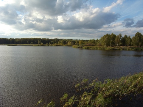 Широкий угол Широкий угол (ЭФР 24 мм; f5.1; 1/400; ISO64