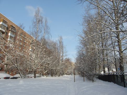 Геометрические искажения на коротком фокусе Геометрические искажения на коротком фокусе
