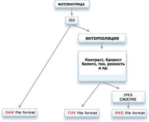 Алгоритм получения RAW, JPG и TIFF файлов