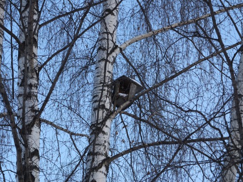 Fujifilm FinePix X10 110 мм, F2, ISO 100