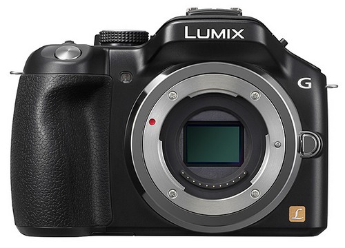 Panasonic Lumix DMC-G5 + объектив 45-150 мм