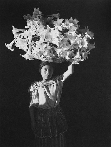 Флор Гардуньо. Корзина света, 1989 Флор Гардуньо. Цветы и цвета черно-белого