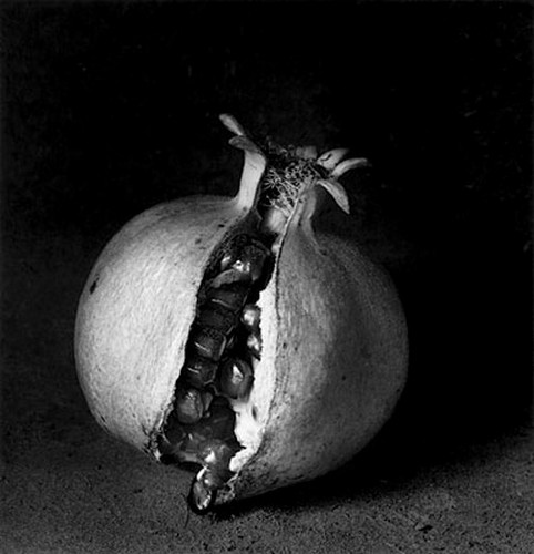 Ф.Гардуньо. С короной, 2000 Флор Гардуньо. Цветы и цвета черно-белого