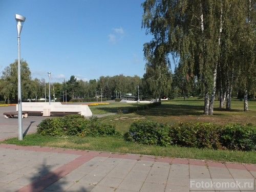 Фокусное расстояние 24 мм ( в 35-мм эквиваленте) Устройство и принцип работы объектива