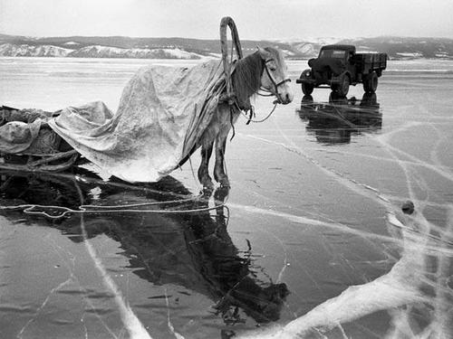Ю.Кривоносов. Ушли за горючим. 1958