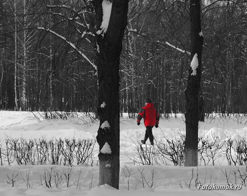 Эффект выделения определенного цвета на снимке.