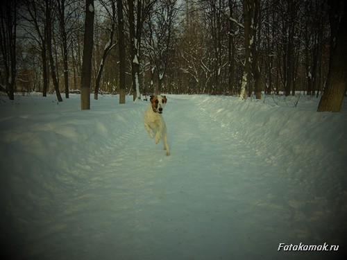 Эффект ломографии