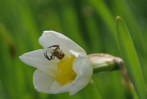 ISO200, F7.1, 1/320c, 300 мм