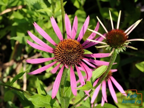 fujifilm-x20-sample-005