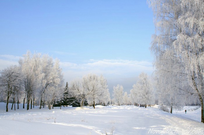 winter-photo-04
