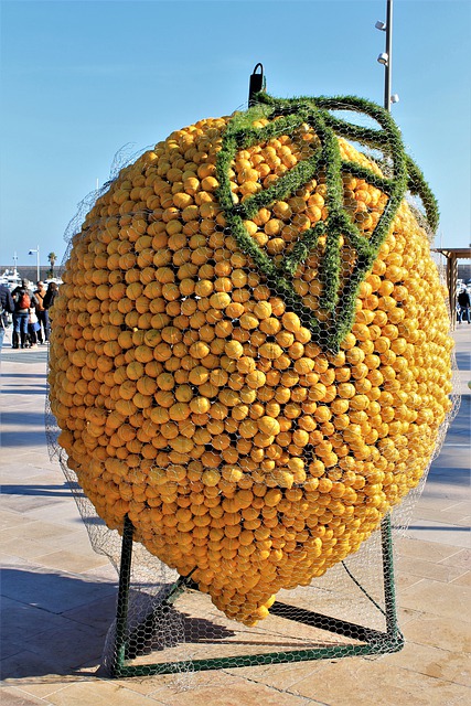 Фестиваль лимонов в Ментоне