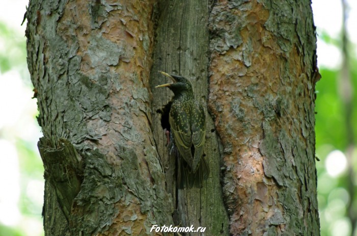 sample-pentax-vr-01