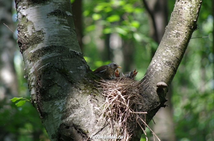 sample-pentax-vr-03