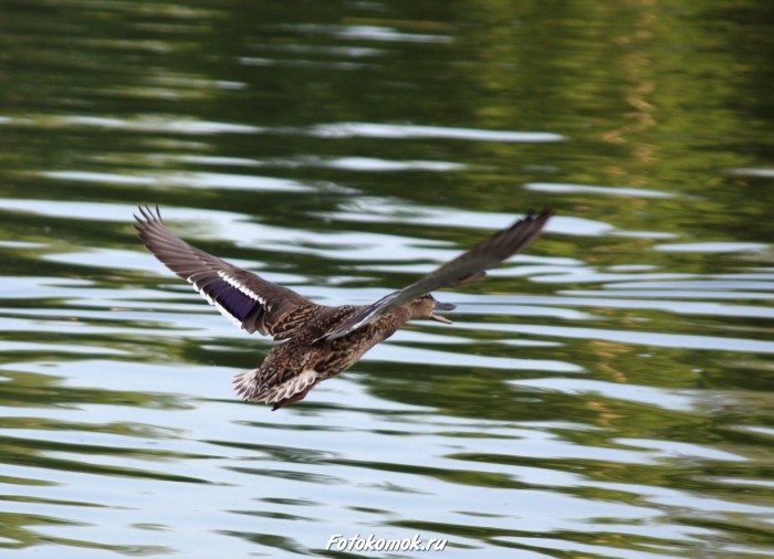 sample-pentax-vr-04