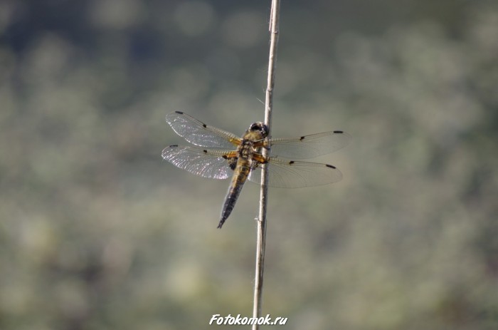 sample-pentax-vr-06