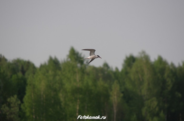 sample-pentax-vr-07