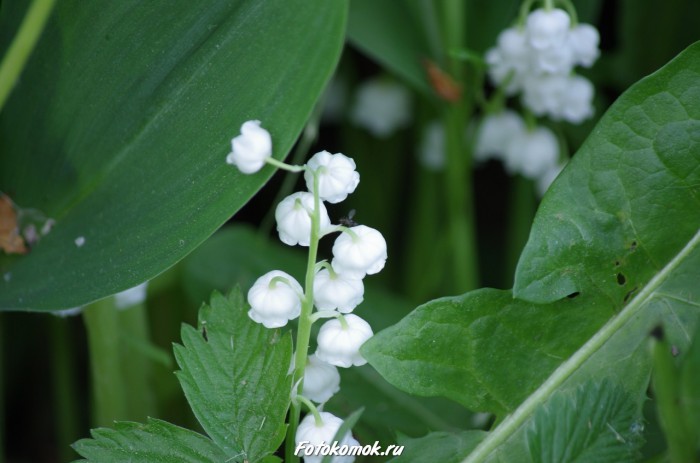 sample-pentax-vr-09
