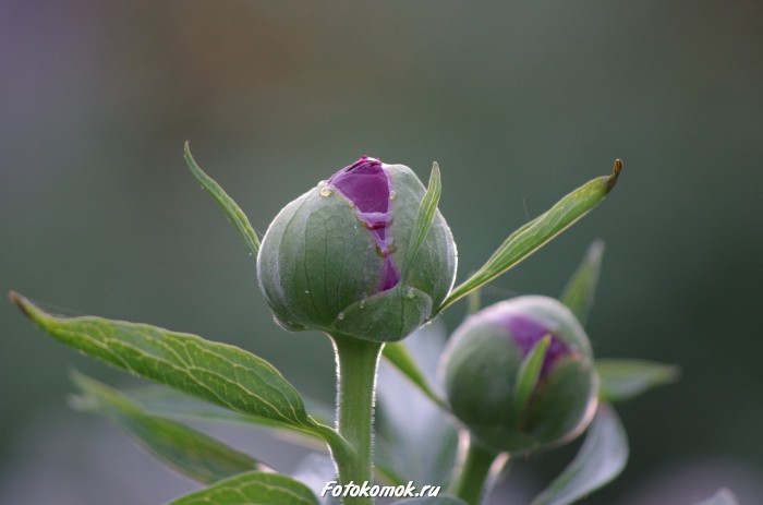 sample-pentax-vr-10