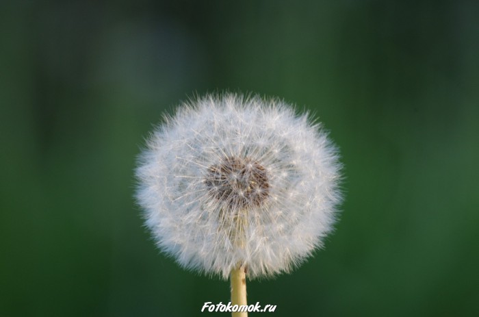 sample-pentax-vr-13