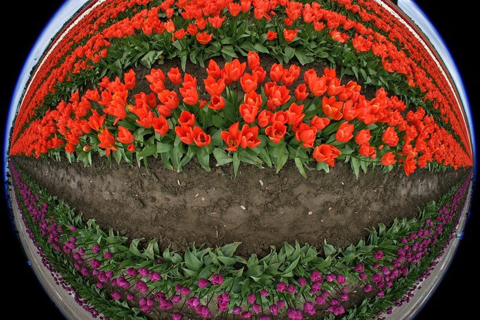 ФР 8 мм F6.7, ISO 100, 1/90c (Canon EOS 10d)