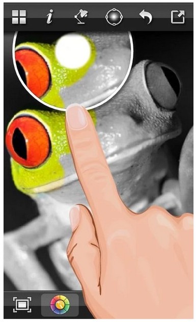 Color Splash FX