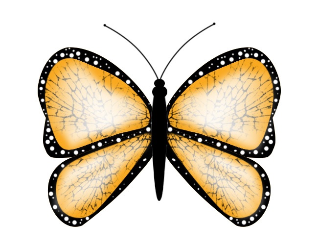butterfly