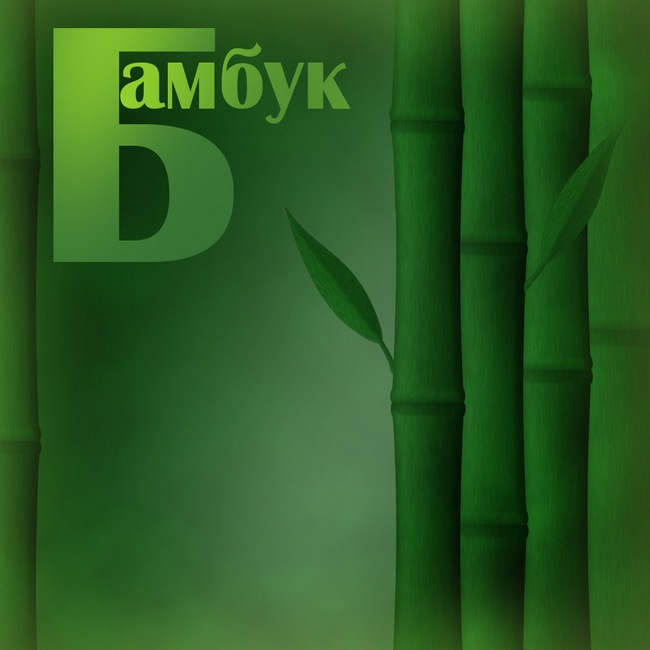 Обои Бамбук в Фотошоп