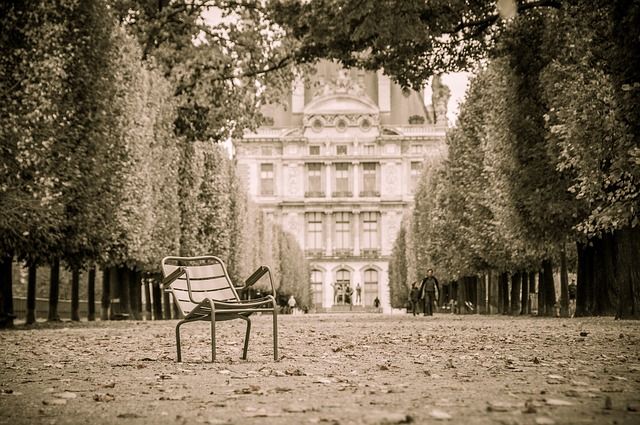 Сад Тюильри. Париж