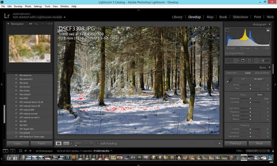 Работа с пресетом в LR