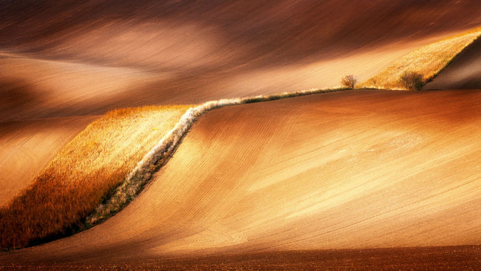 © Radoslav Cernicky, Slovakia, 1st Place, National Awards, 2019 Sony World Photography Awards