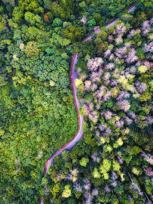 © Tharinda Jayawardana, Sri Lanka, 1st Place, National Awards, 2019 Sony World Photography Awards